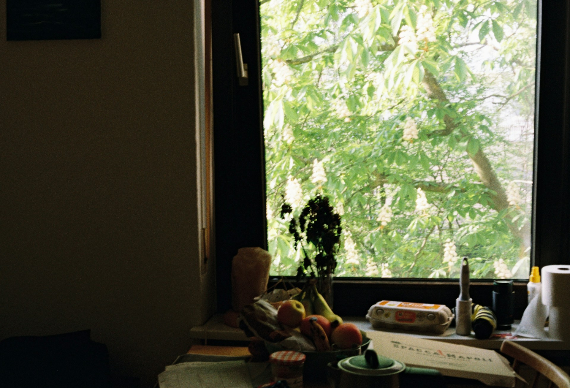 Hidup Lebih Tenang dengan Memperlambat Ritme